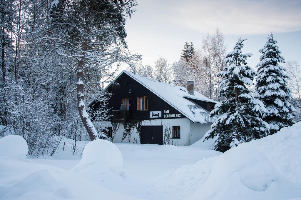 Privat - Harrachov 392 Hotel Exterior photo